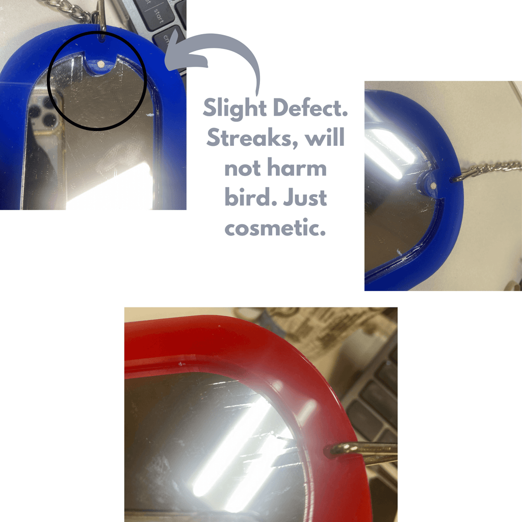 2660 Oval Bird Mirror (COSMETIC DEFECT)