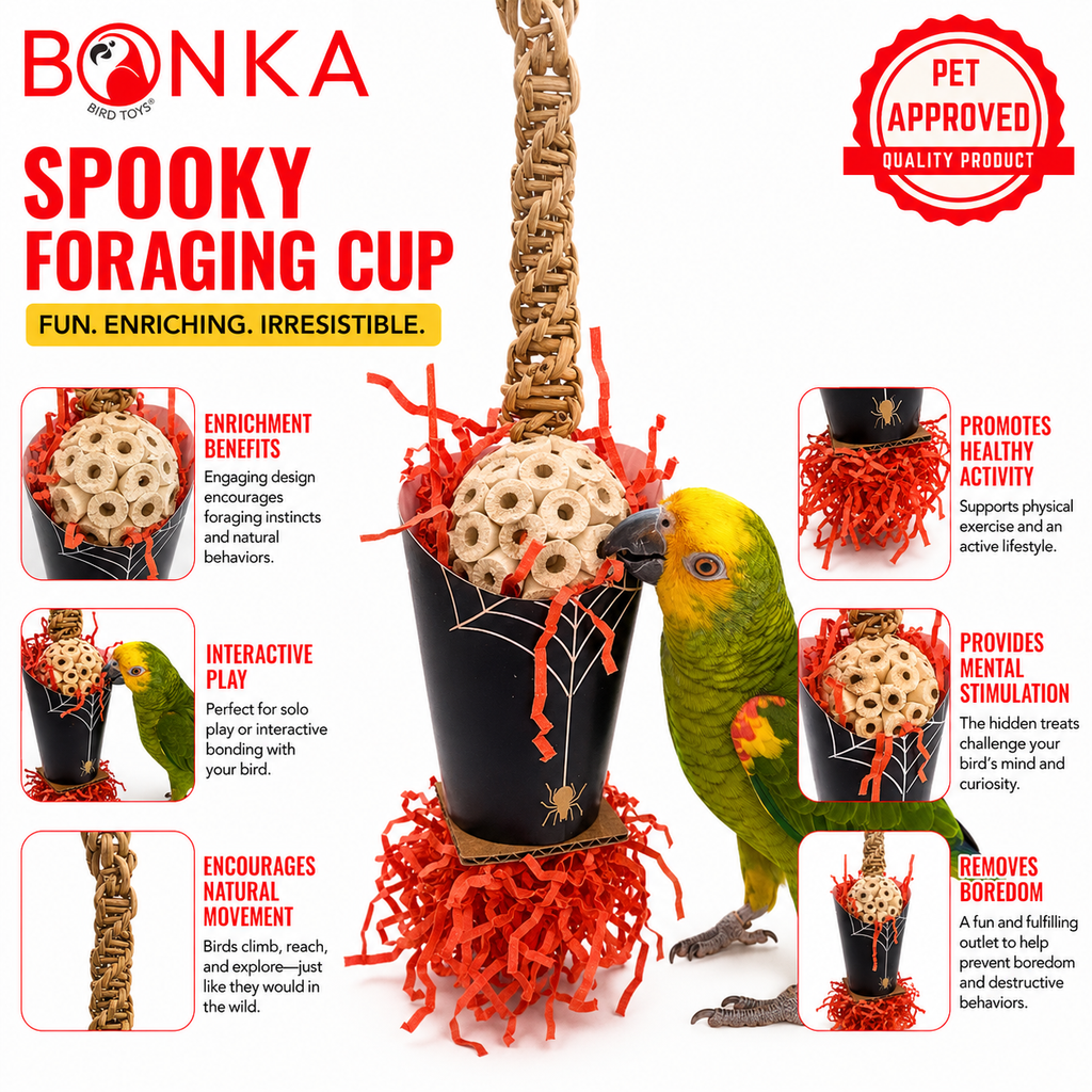 2707 Halloween Spider Cup