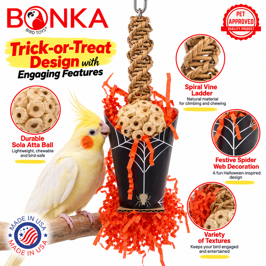 2707 Halloween Spider Cup