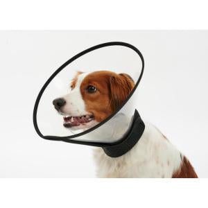 Buster Complete Dog Collar