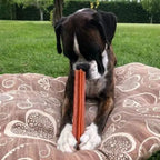 Whimzees Dental Dog Treats Stix