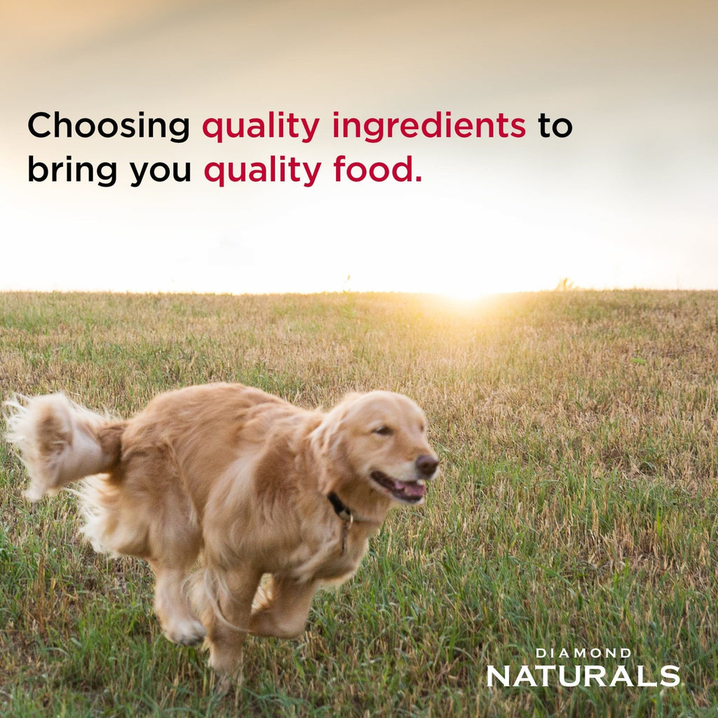 Diamond Naturals Large Breed Puppy Lamb & Rice Dry Dog Food Formula
