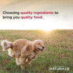 Diamond Naturals Large Breed Puppy Lamb & Rice Dry Dog Food Formula