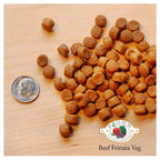 Fromm Four Star Grain Free Beef Frittata Veg Dry Dog Food