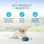 Blue Buffalo Life Protection Natural Chicken & Brown Rice Recipe Puppy Dry Dog Food