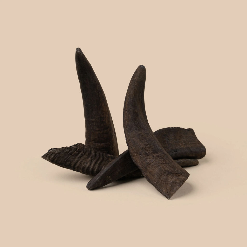 WAG Goat Horn