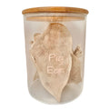 Freezy Paws Freeze Dried Pig Ear Pet Treats for Cats & Dogs