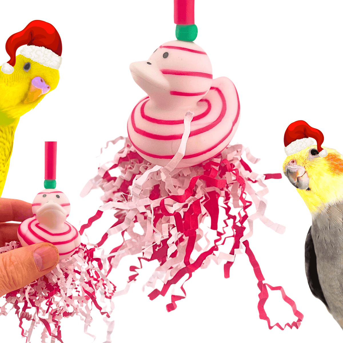 2727 Christmas Candy Cane Duck