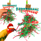 1040X Christmas Foraging Star