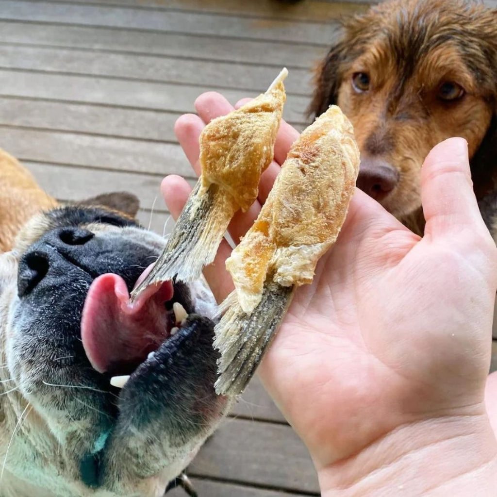 The Paw Grocer Freeze Dried Dogs & Cats Treats Salmon Belly
