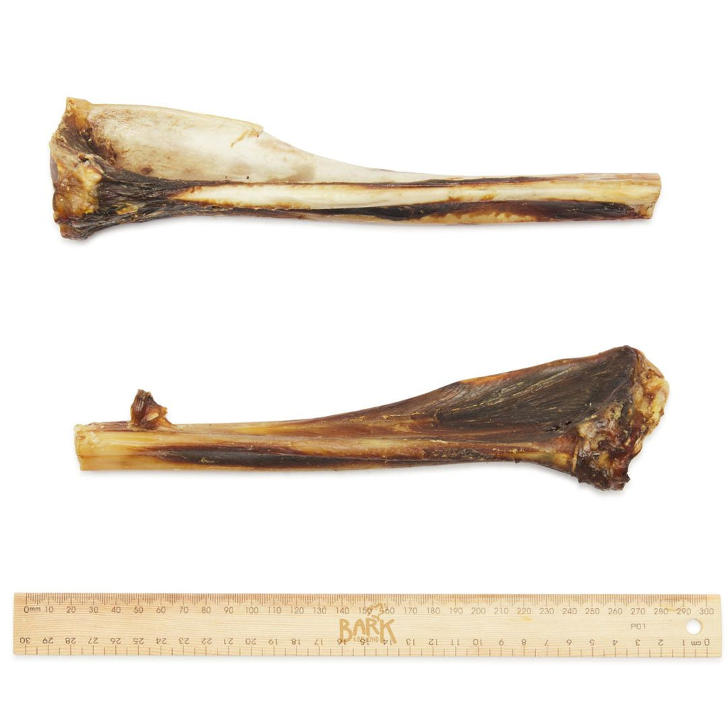 Bark & Beyond Roo Teeth Clenser Bone