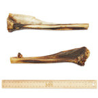 Bark & Beyond Roo Teeth Clenser Bone
