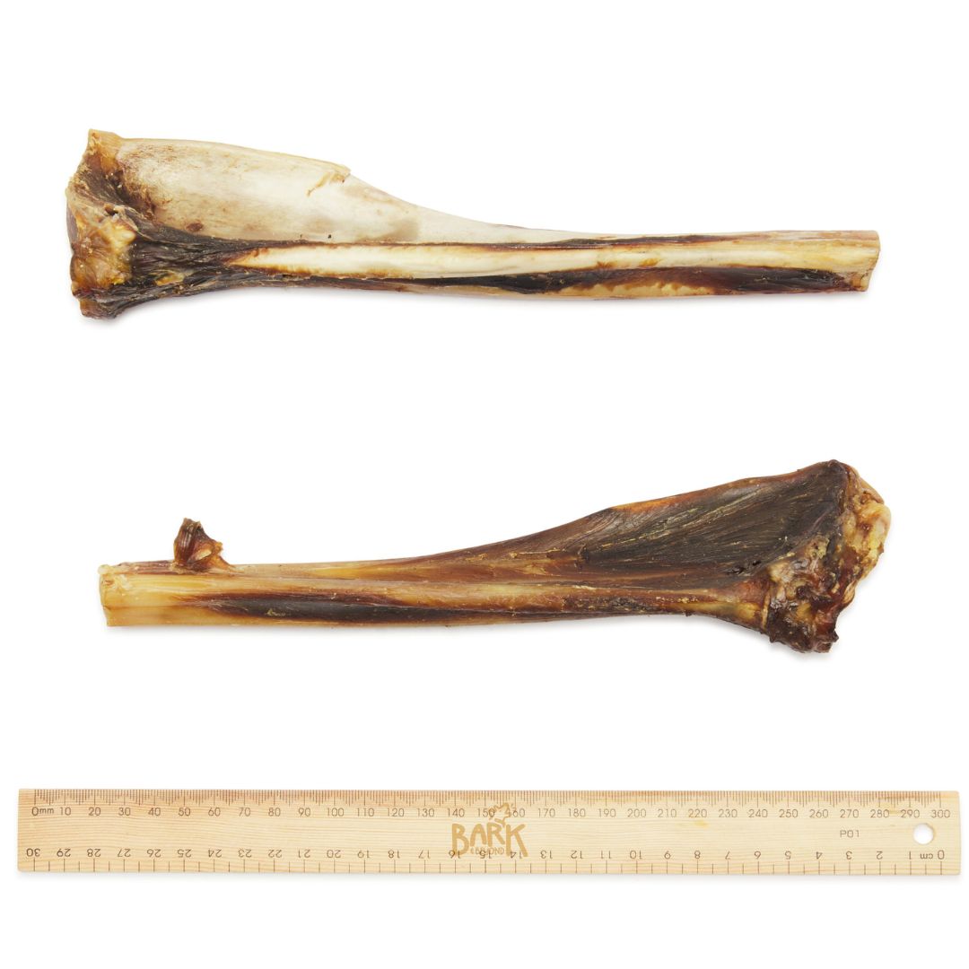 Bark & Beyond Roo Teeth Clenser Bone