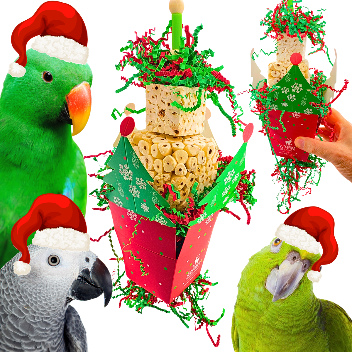 3921 Sola Christmas Tree Forager