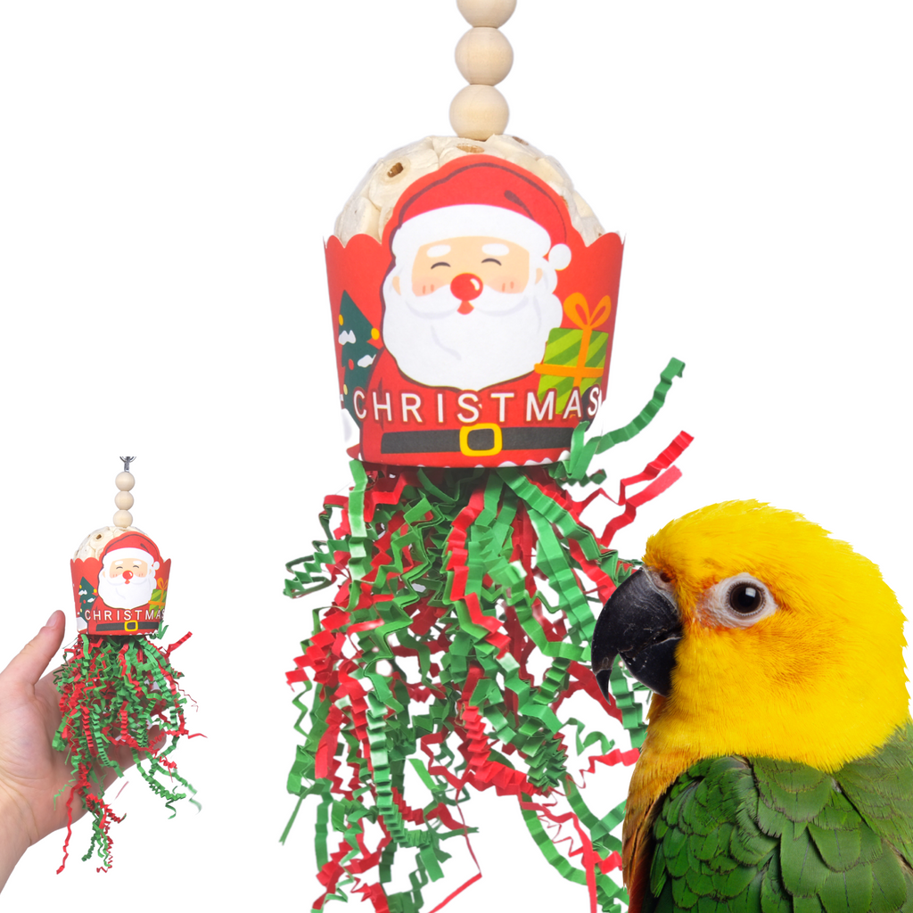 2438 Santa Sola Cup Christmas