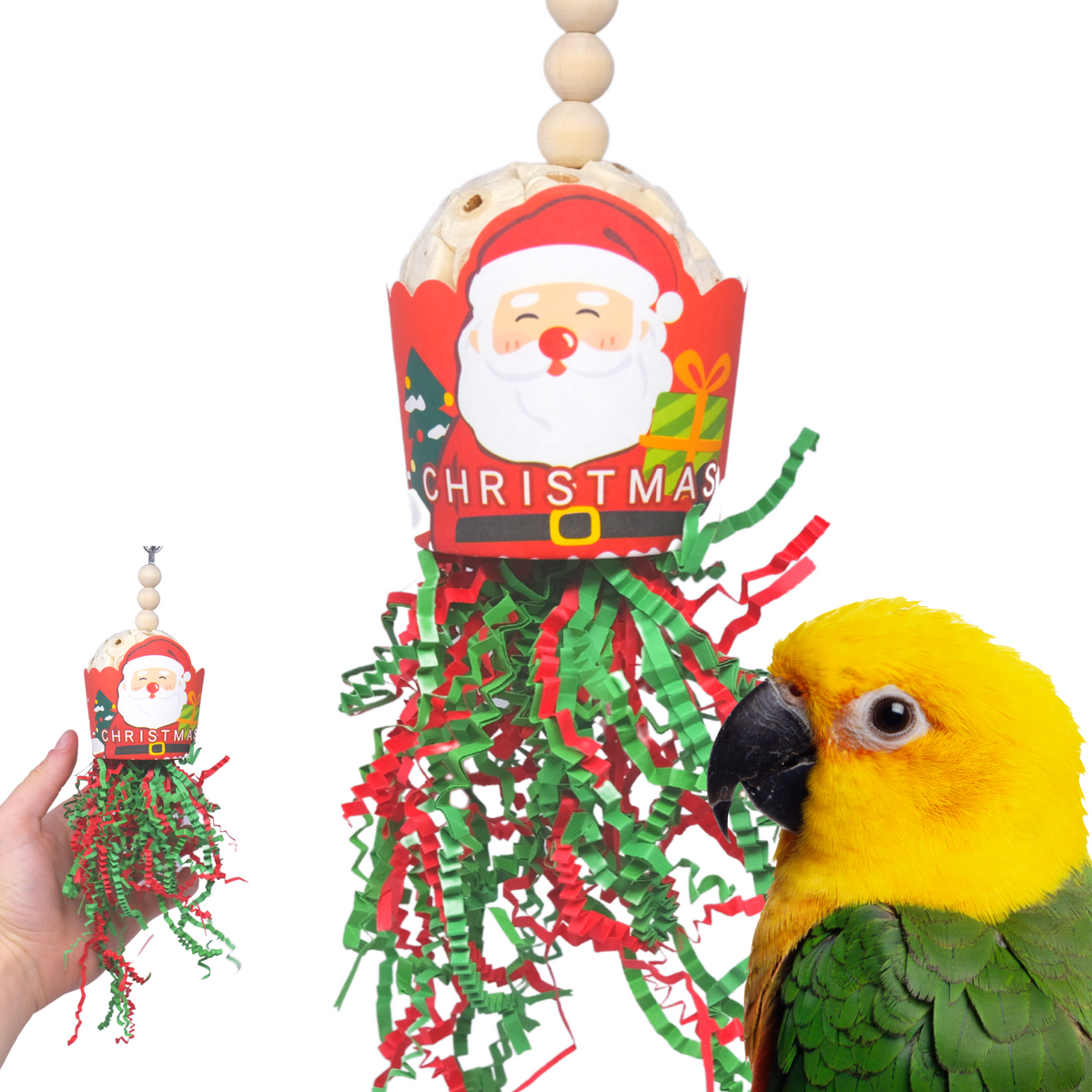 2438 Santa Sola Cup Christmas