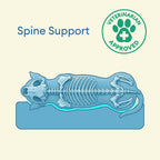 Fully Orthopedic Surround Support Waterproof Large Outdoor Dog Bed
