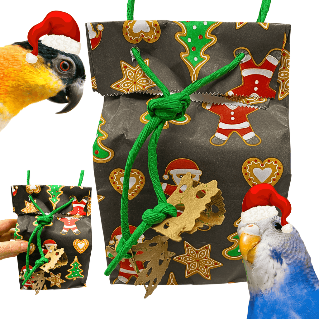 2749 Santa Christmas Treat Bag