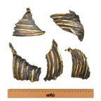 WAG Kangaroo Ribs