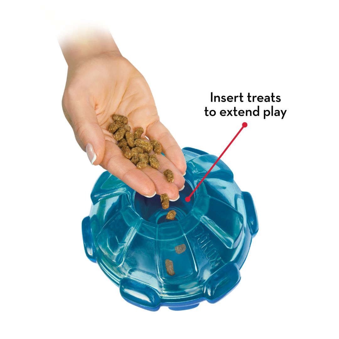 KONG Dog Toys Rewards Ball