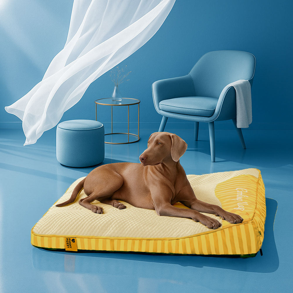 Extra Large Cooling Washable Rectangle Orthopedic Outdoor Dog Bed