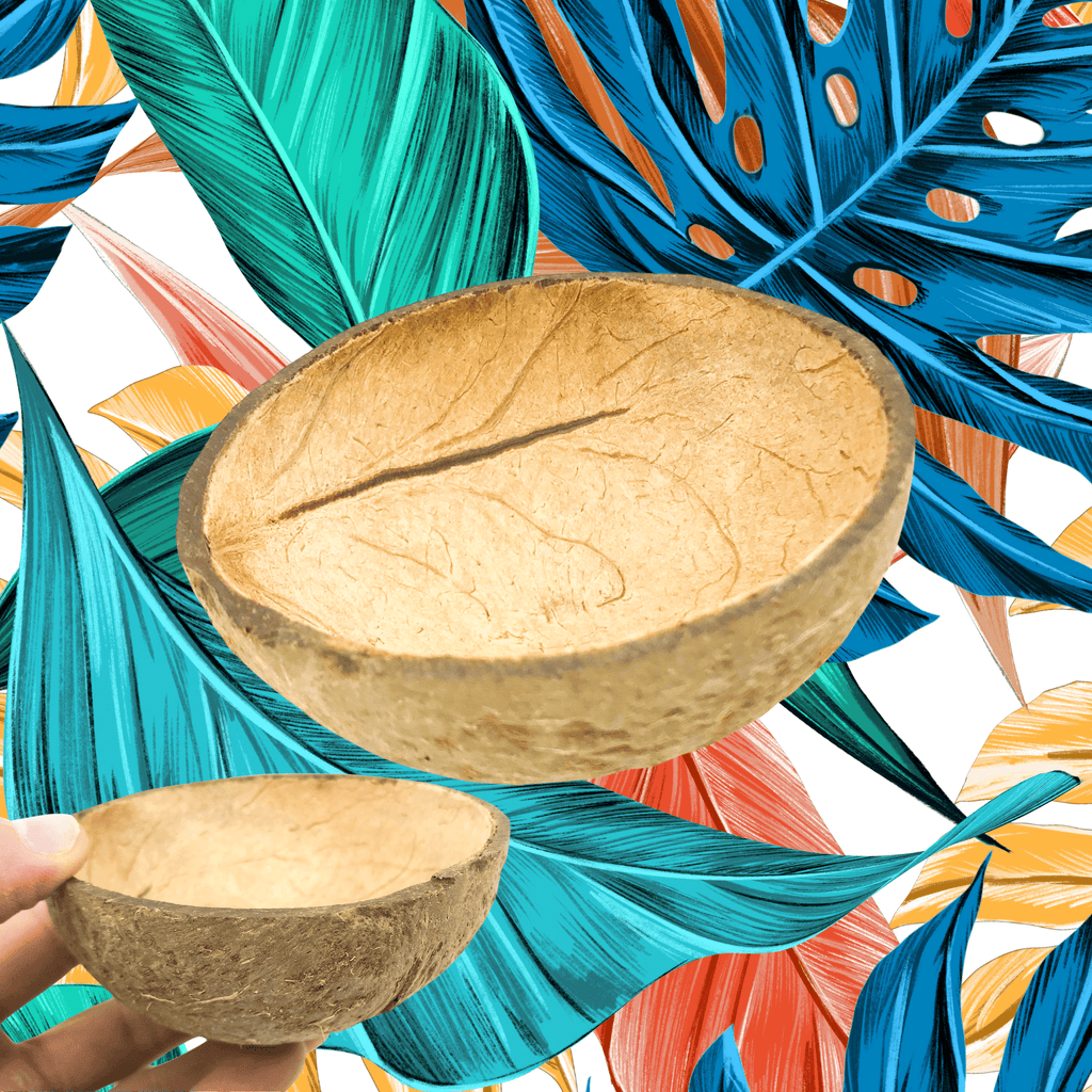 2054 Coconut Cup Flat Base