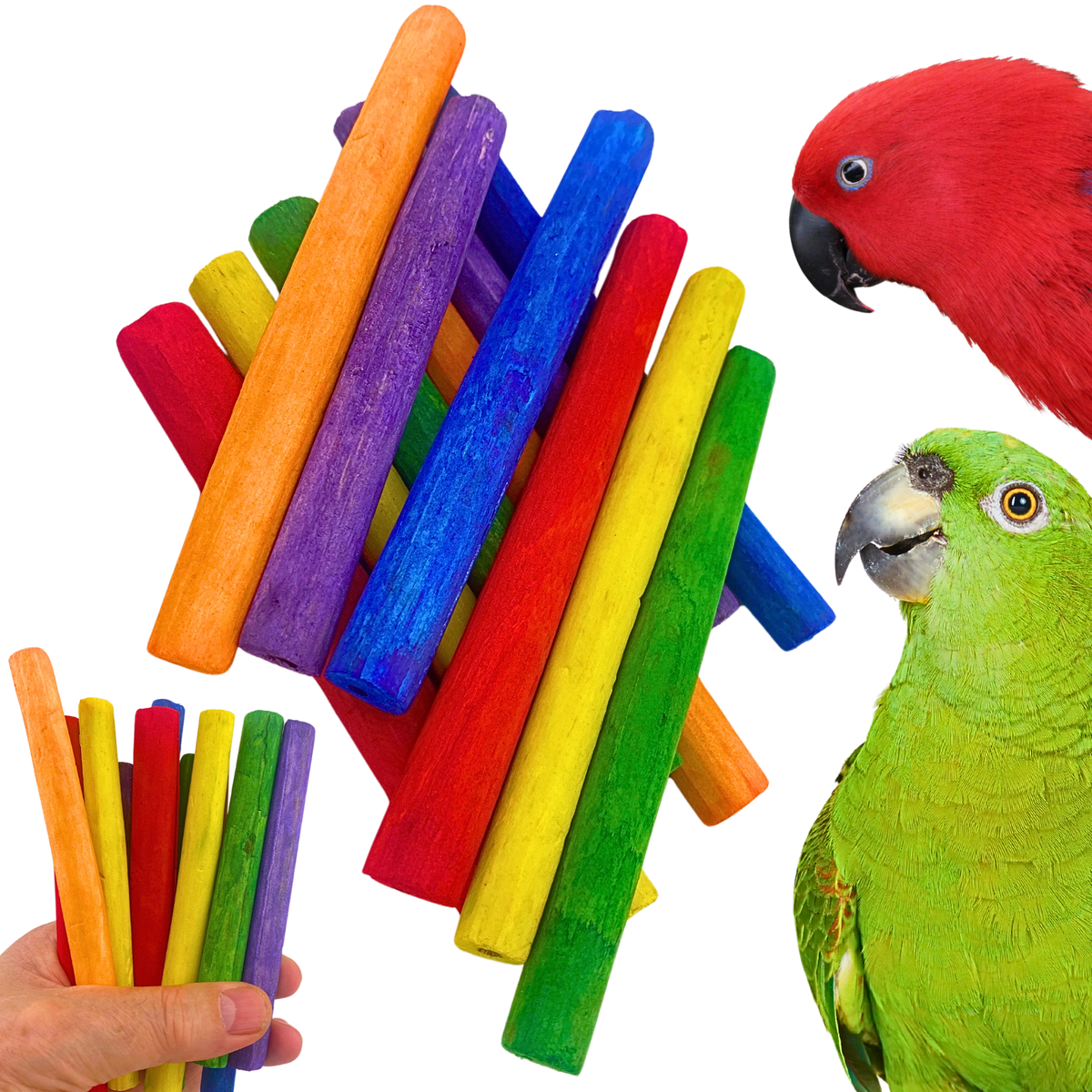 2638 Pk12 Thin Colored Sola Sticks