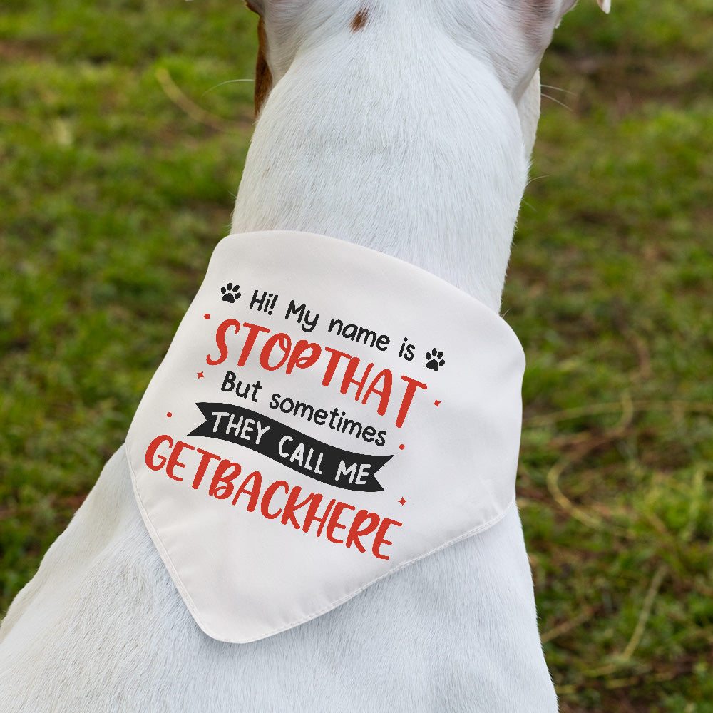 My Name Is Stop That - Dog Bandana