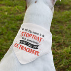 My Name Is Stop That - Dog Bandana
