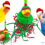 2726 Christmas Elf Duck