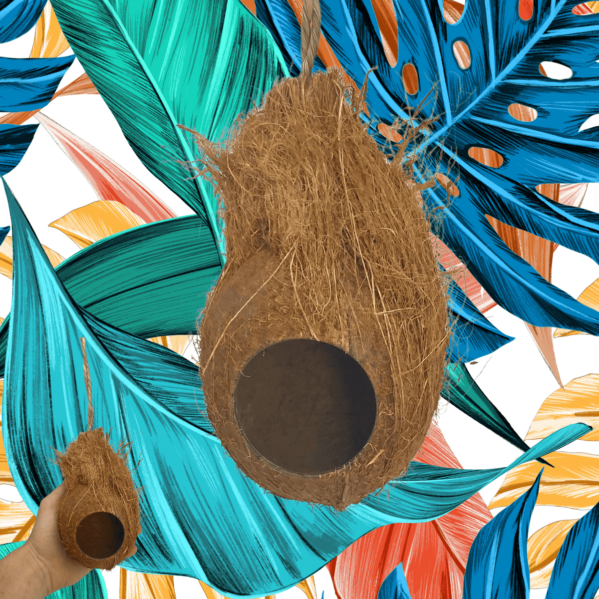 872 Coconut Hut