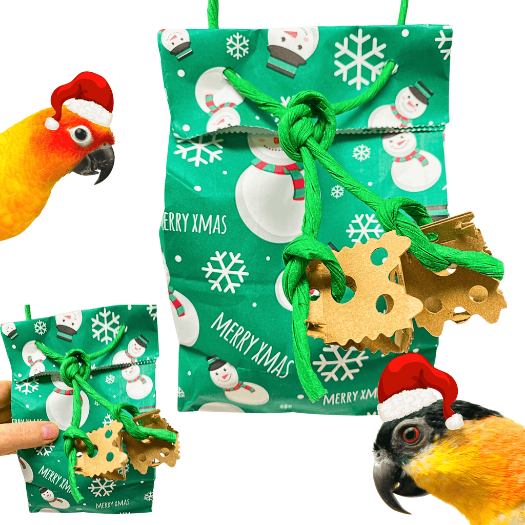 2754 Christmas Snowman Treat Bag
