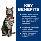 Hill's Science Diet - Feline Adult Urinary Hairball Control Savory Chicken Entrée 2.9oz