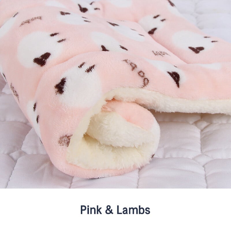 🎅Christmas Sale 50%OFF🐱 Calming Cat Blanket - Anxiety Relief & Ultimate Comfort for Your Feline Friend 🌟