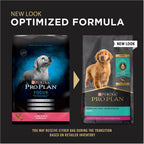 Purina Pro Plan Focus Puppy Lamb & Rice Formula Dry Dog Food