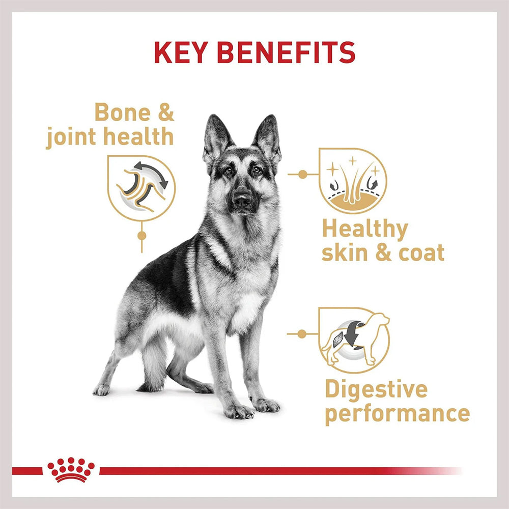 ROYAL CANIN German Shepherd 11kg