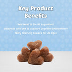 Blue Buffalo Bits Tender Beef Natural Soft Moist Training Dog Treats