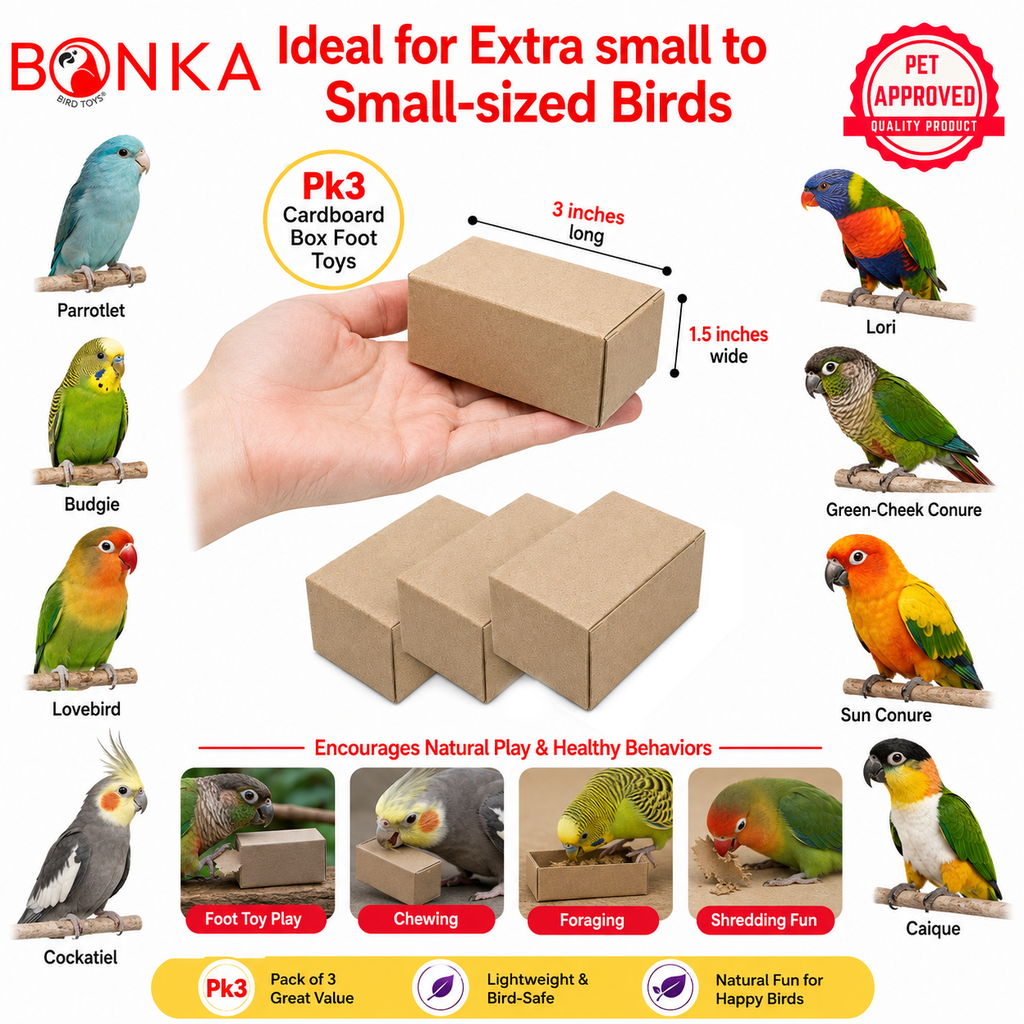 3424 pk3 3 Inch Cardboard Box