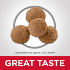 Hill's Science Diet Puppy Large Breed Chicken Meal & Oats Recipe Dry Dog Food