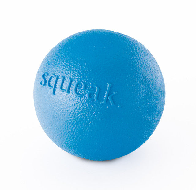 Planet Dog Orbee-Tuff Squeak Ball Dog Toy