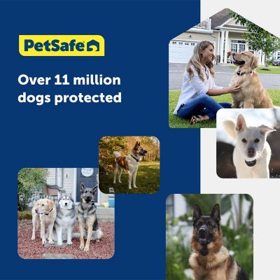 PetSafe 1/2-Acre Wireless Fence Pet Containment System