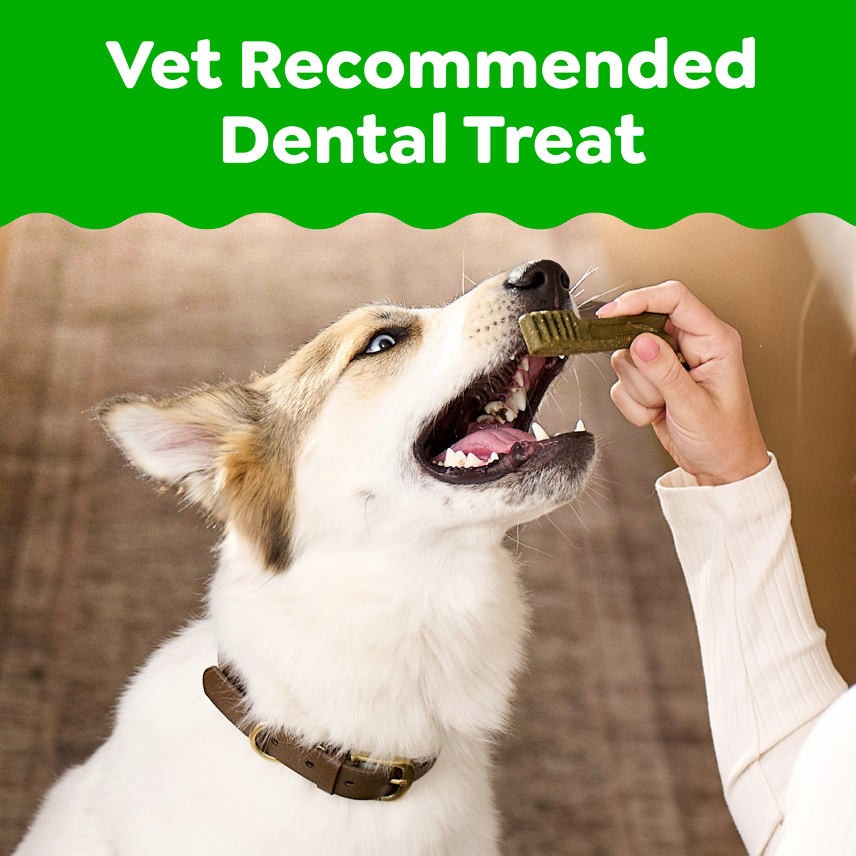 GREENIES Original Regular Dog(11-22kg) Dental Treat