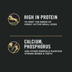 Purina Pro Plan Savor Adult Shredded Blend Small Breed Chicken & Rice Formula Dry Dog Food
