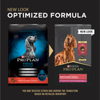 Purina Pro Plan Focus Sensitive Skin & Stomach Formula Lamb & Oat Meal Formula Dry Dog Food