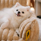 Orthopedic Dog Sofa Bed With Pillow-Snoozy Dream
