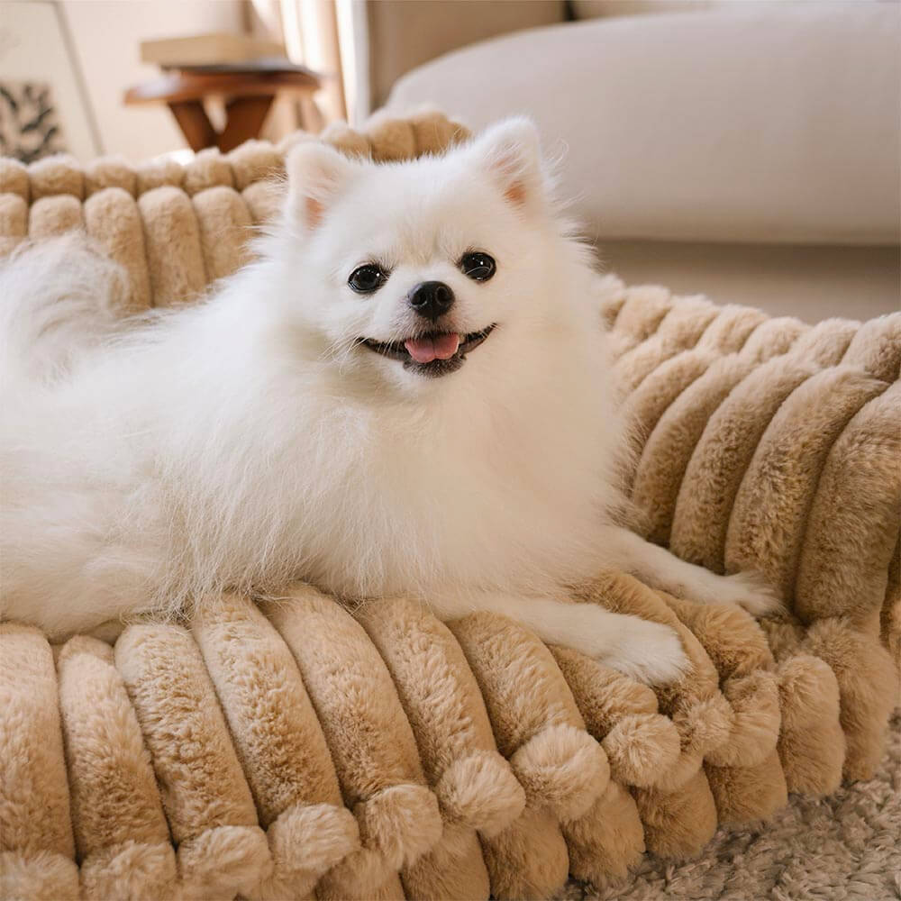 Orthopedic Dog Sofa Bed With Pillow-Snoozy Dream