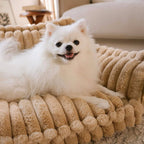 Orthopedic Dog Sofa Bed With Pillow-Snoozy Dream