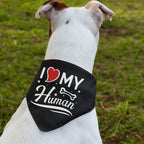 I Love My Human - Dog Bandana