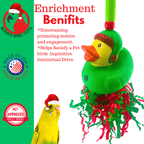 2726 Christmas Elf Duck