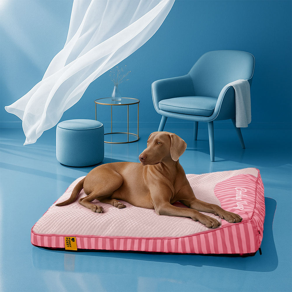 Extra Large Cooling Washable Rectangle Orthopedic Outdoor Dog Bed